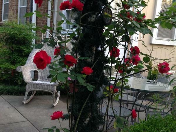 Port City Guest House Wilmington Ngoại thất bức ảnh